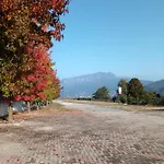 Πανσιόν La Gemma Rossa Martiniana Po
